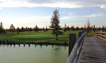 A wooden boardwalk beside the pond at Terrae Pines